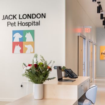 Jack London Pet Hospital