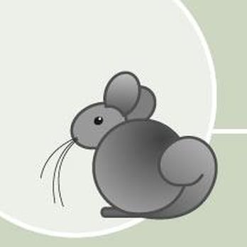 California Chins - Chinchilla Rescue