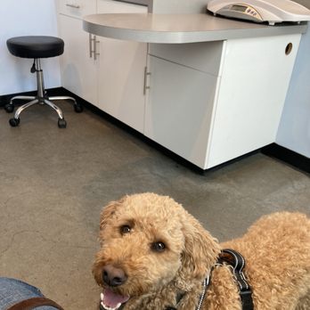 University Vet Hospital