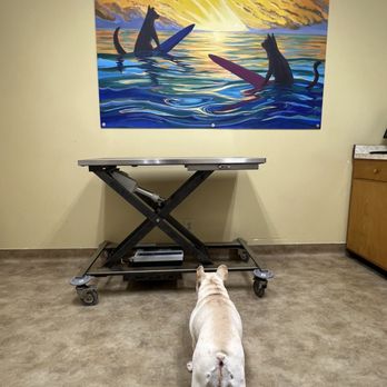 St Francis Veterinary Hospital