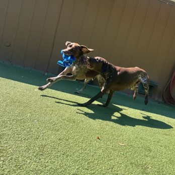 Dublin Creek Kennels