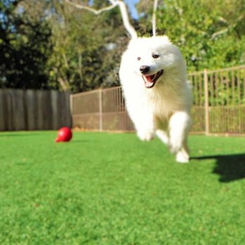 Dublin Creek Kennels