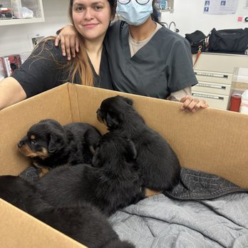 Lone Tree Veterinary Hospital & Urgent Care