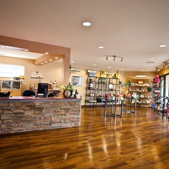 Holistic Veterinary Care