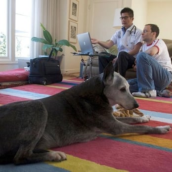 Calvin G Lum, DVM - BetterVet