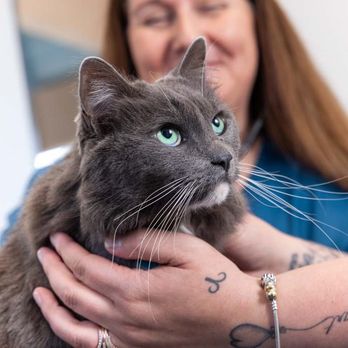 Hercules Pet Hospital