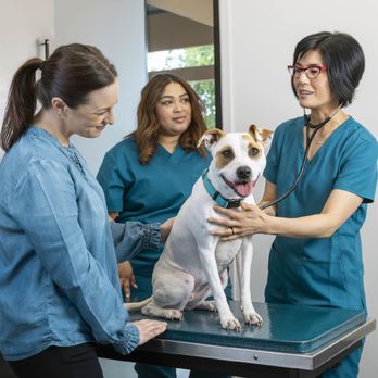 Hercules Pet Hospital