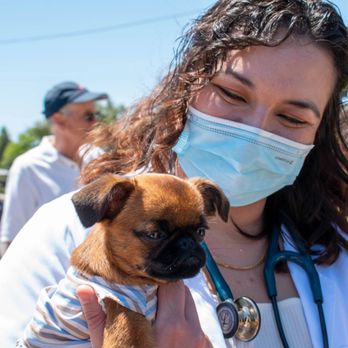 Tama Veterinary Hospital and Urgent Care