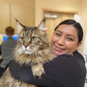 Aggie Animal Dental Center