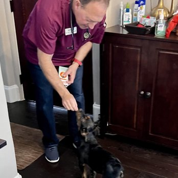 4 Paws Mobile Veterinary Services