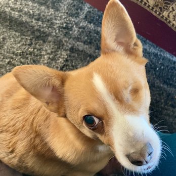 Codornices Veterinary Clinic