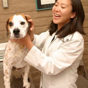 Codornices Veterinary Clinic