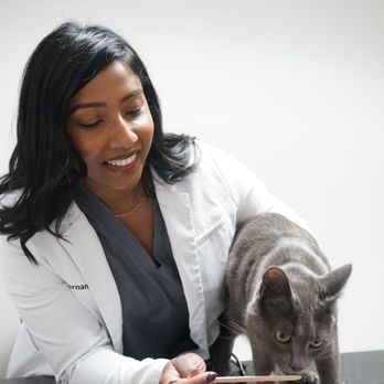 El Cerrito Veterinary Care