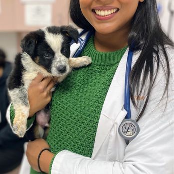 El Cerrito Veterinary Care