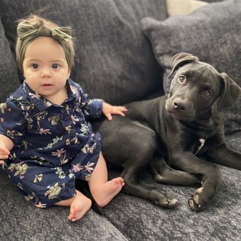 Joybound People & Pets