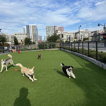 Tefani & So. Dogcare