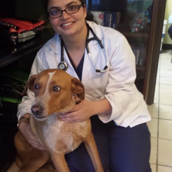 East Bay Veterinary Clinic