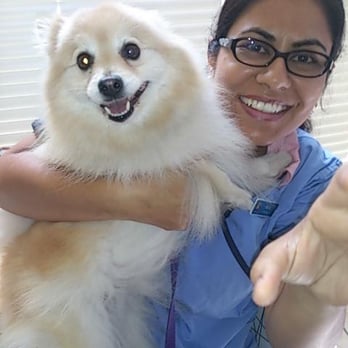 East Bay Veterinary Clinic