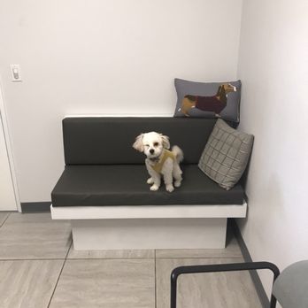 Gentle Care Veterinary Hospital