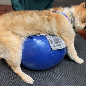 VCA Madera Pet Hospital