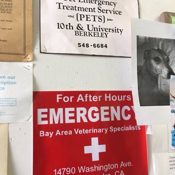 Hillview Pet Hospital