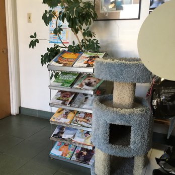 Hillview Pet Hospital