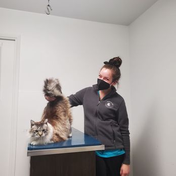 The Grand Lake Veterinary Hospital