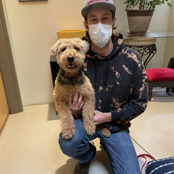 Who Let the Dogs Out!