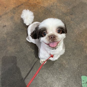 Pawtrero Hill BathHouse & Feed