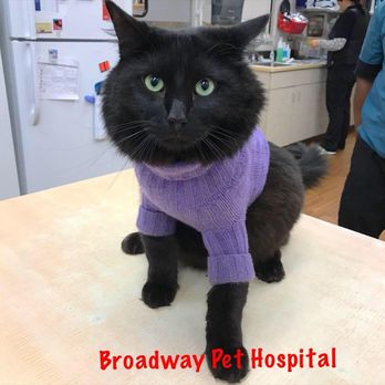 VCA Broadway Animal Hospital