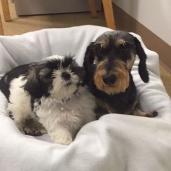 VCA Broadway Animal Hospital