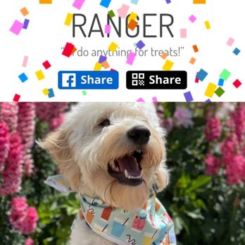 Pacifica Pet Hospital