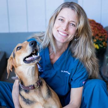 Mill Valley Pet Clinic