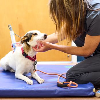 Mill Valley Pet Clinic