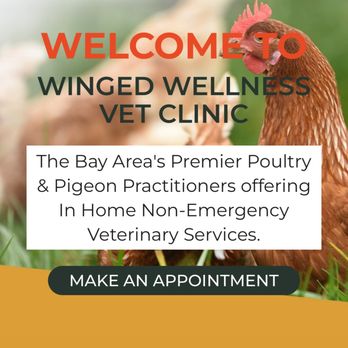 Winged Wellness Vet Clinic