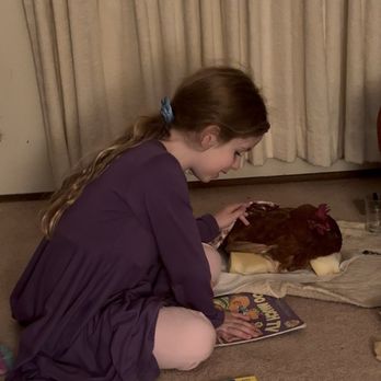 Winged Wellness Vet Clinic