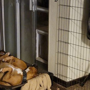 Barney And Russum Animal Clinic