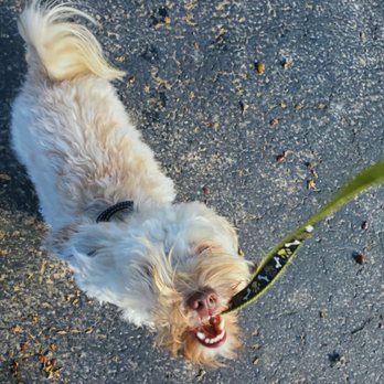 Barney And Russum Animal Clinic