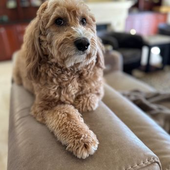 Animal Medical Center of Pleasanton