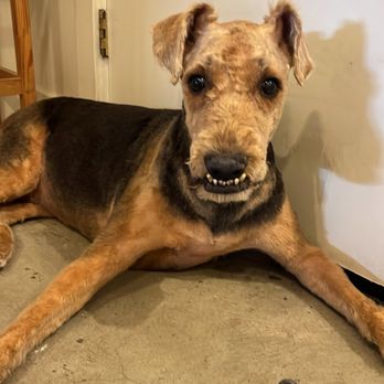 Mudpuppy’s Tub & Scrub - San Francisco