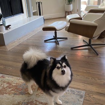 Mudpuppy’s Tub & Scrub - San Francisco