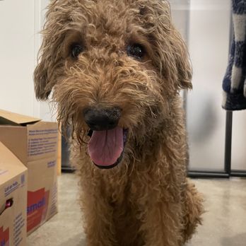 Mudpuppy’s Tub & Scrub - San Francisco