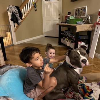 Oakland Animal Services