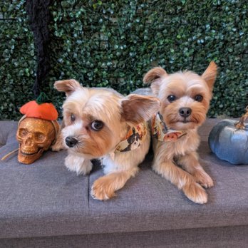 Green Pawz Pet Boutique & Grooming