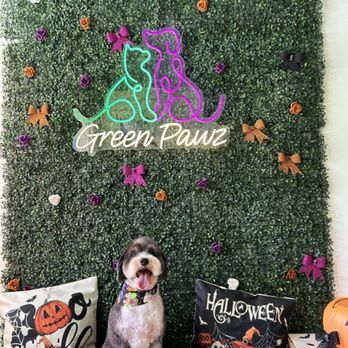 Green Pawz Pet Boutique & Grooming