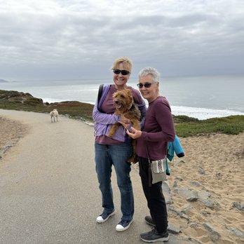 Mutt and Tumble Dog Training