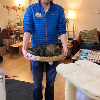 Go, Cat, Go! Cat Behavior Consulting