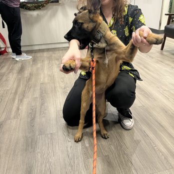 Santa Rita Animal Care