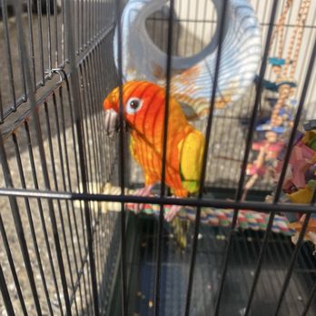 San Francisco Bird Hotel