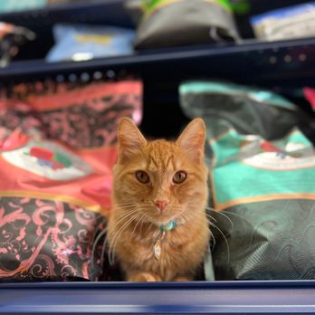 Alameda See Spot Run